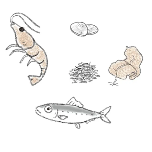 海のもの（海藻類、イワシ、貝、エビなど）