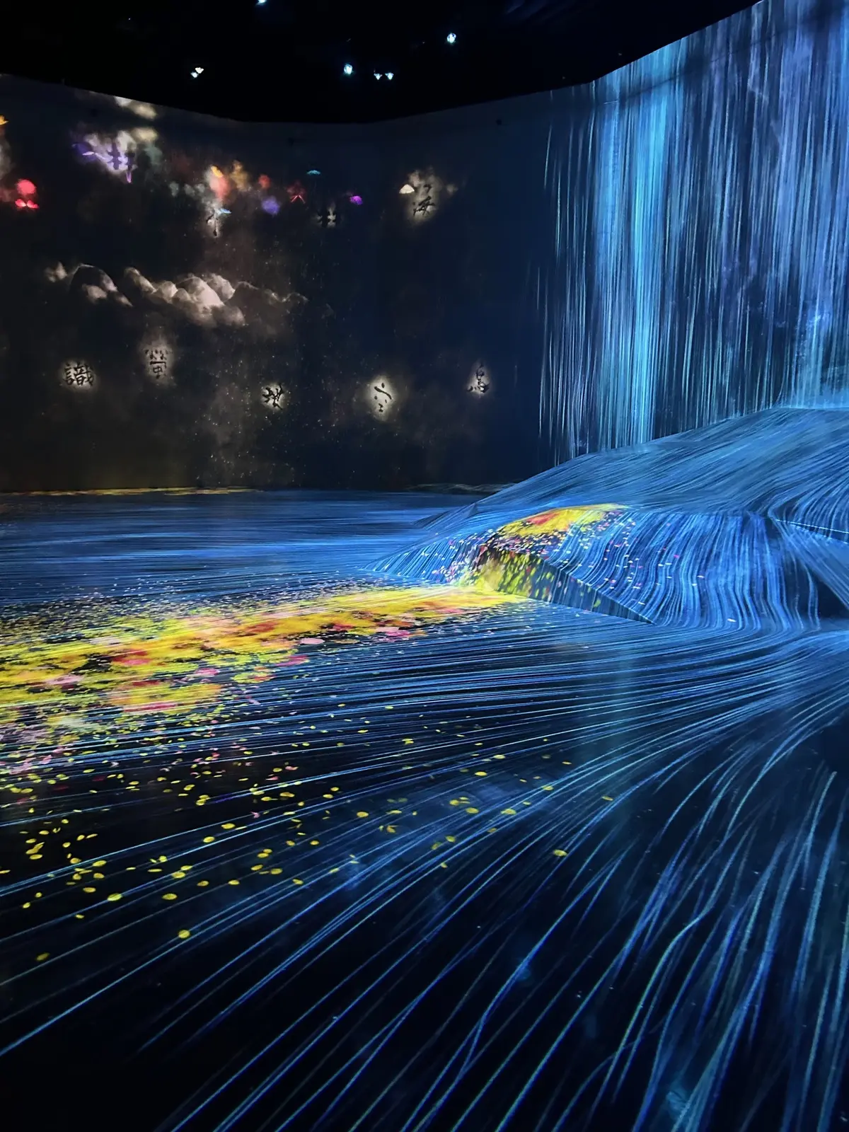 展示会 ”エプソン チームラボボーダーレス”の様子