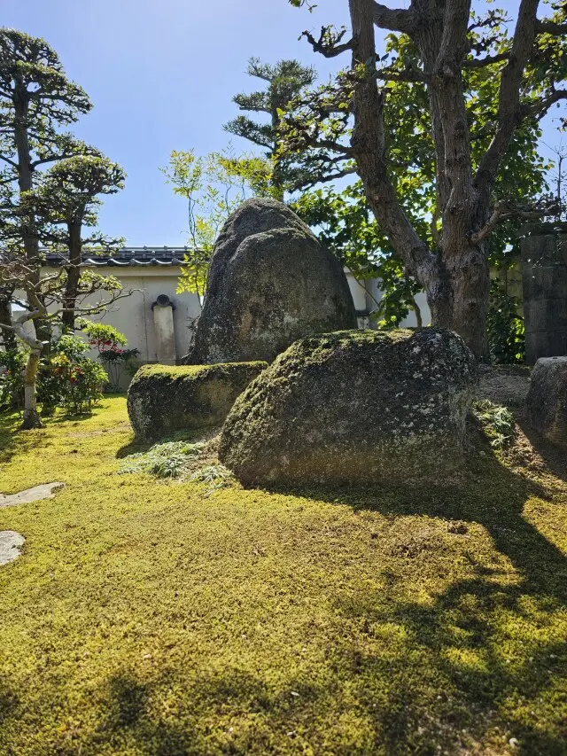 緑の多い実家の画像_1