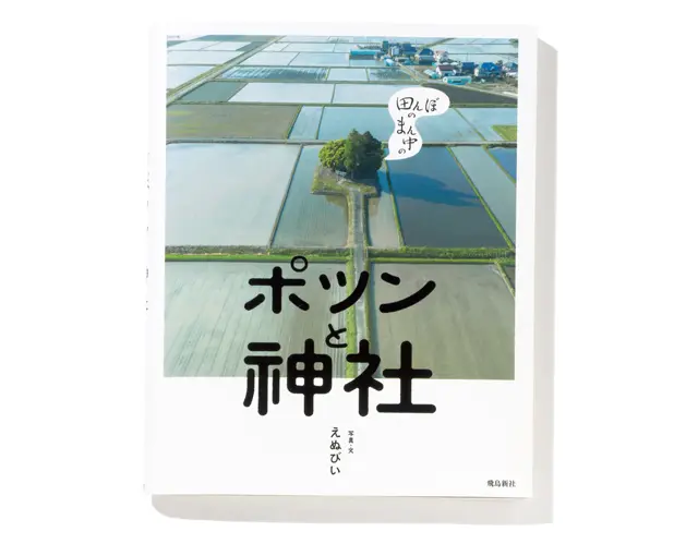 『 田んぼのまん中のポツンと神社 』