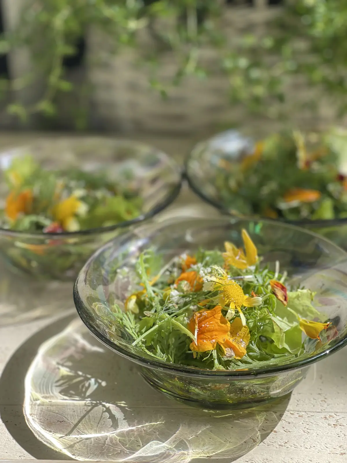 ハーブのある暮らし・・NO HERB Nの画像_14