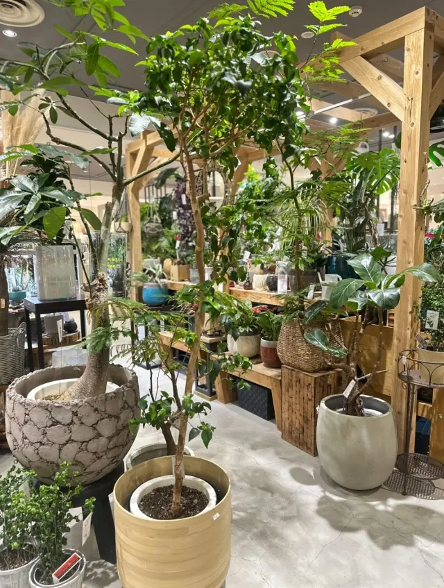 お休みの日の大人ミックススタイル。の画像_3