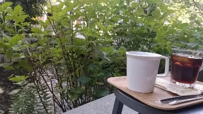 京都の夏　大人な川の楽しみ方の画像_8