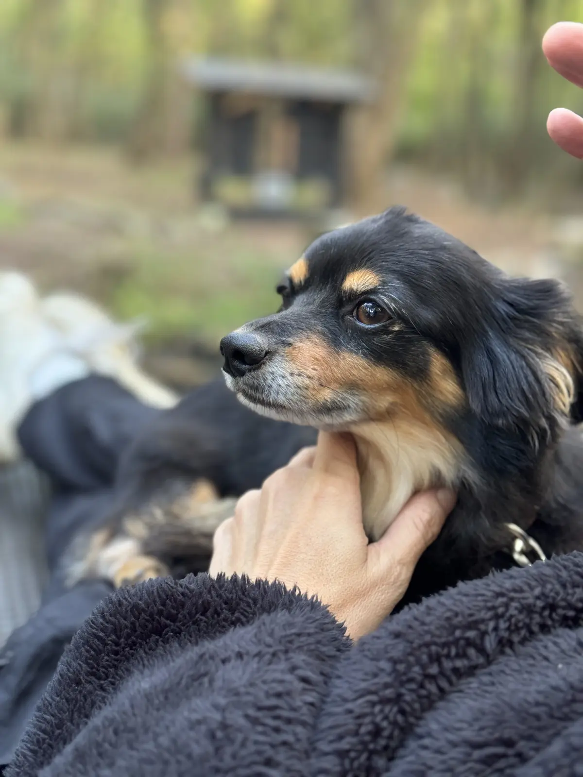 【秋の那須旅行②】カフェの聖地で心温まるの画像_14