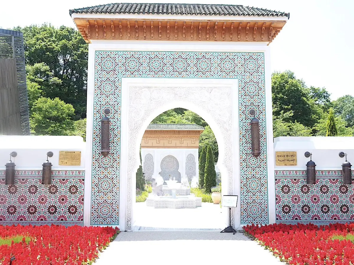 モロッコロイヤルロー