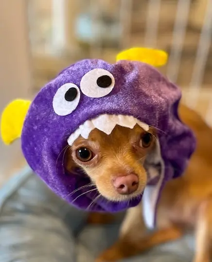 おうちでcafeランチ☆☆☆の画像_5