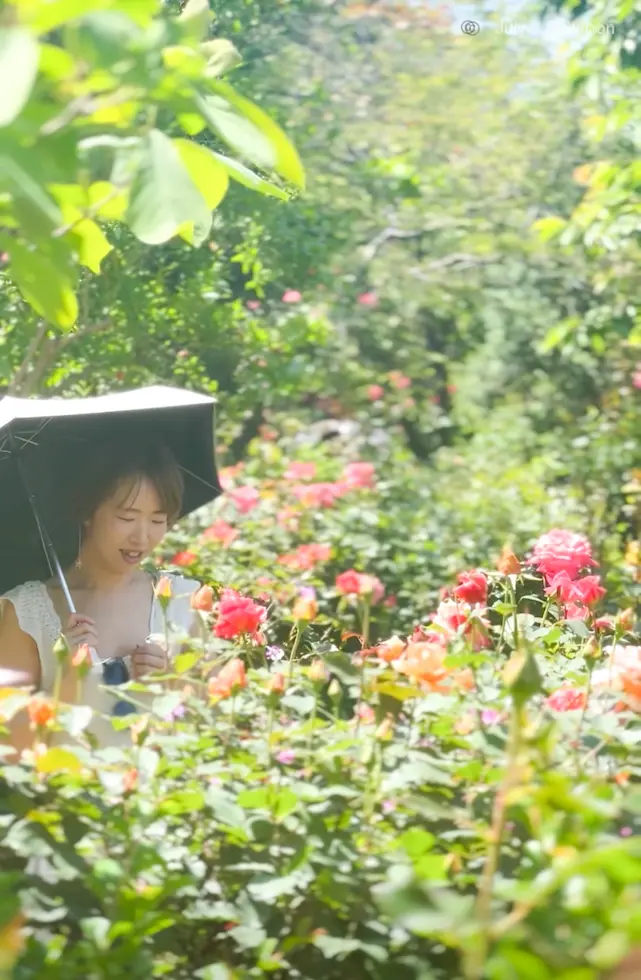 【横浜イングリッシュガーデン】ローズフェの画像_2