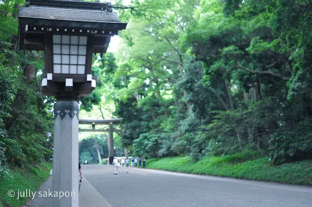 【番外編】雨上がりの参拝@明治神宮の画像_9