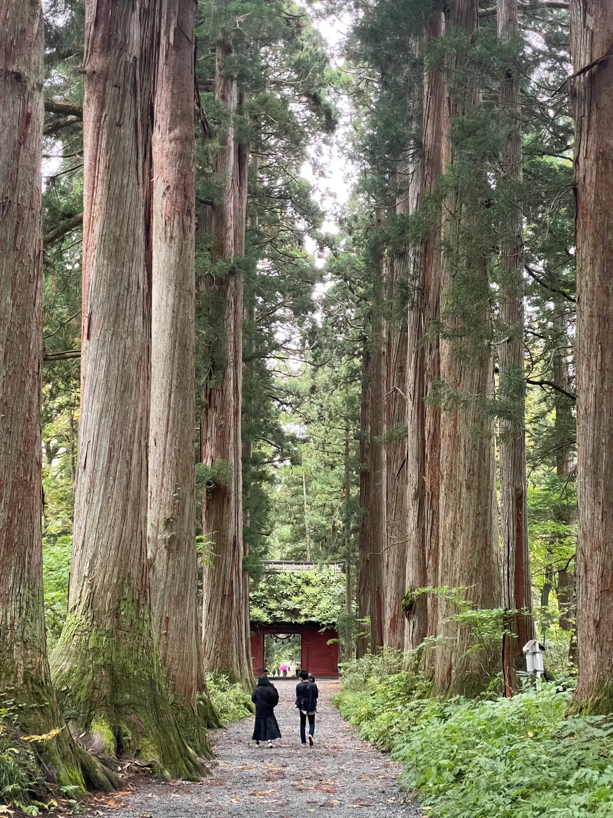 パワースポット、グルメ！長野を満喫してきの画像_5