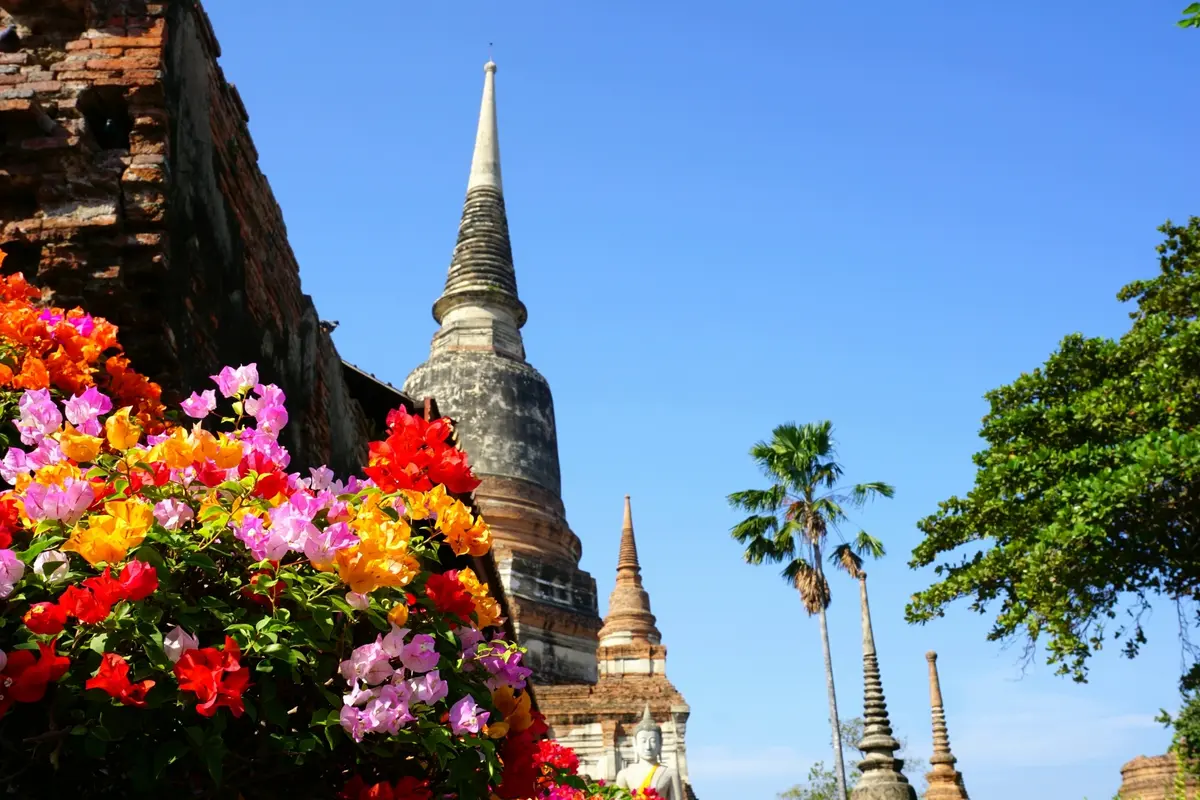 アラフィー女性のホンネ：アラフィーになっの画像_1