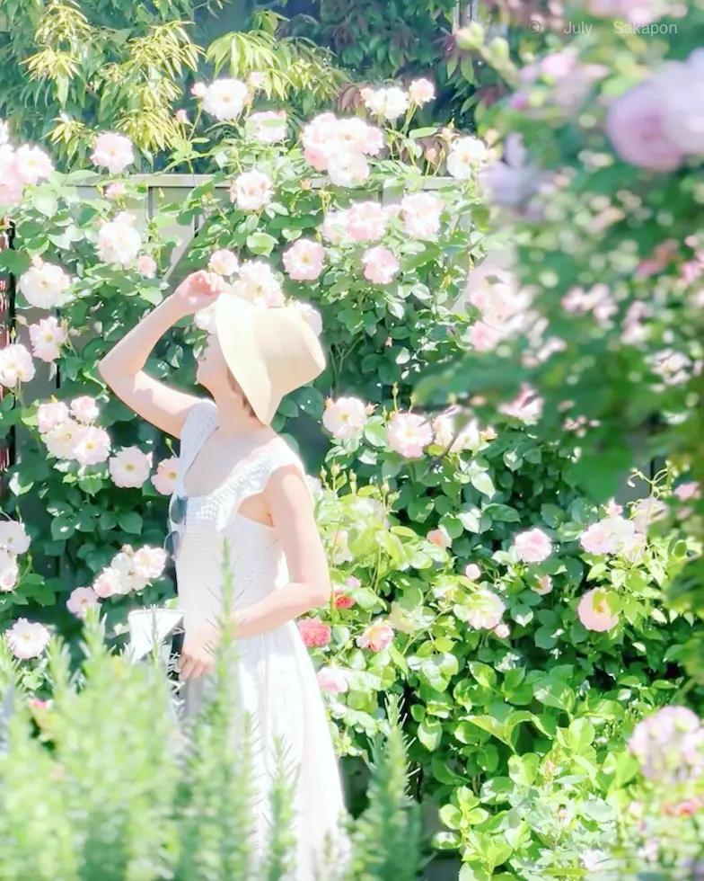 【横浜イングリッシュガーデン】ローズフェの画像_7