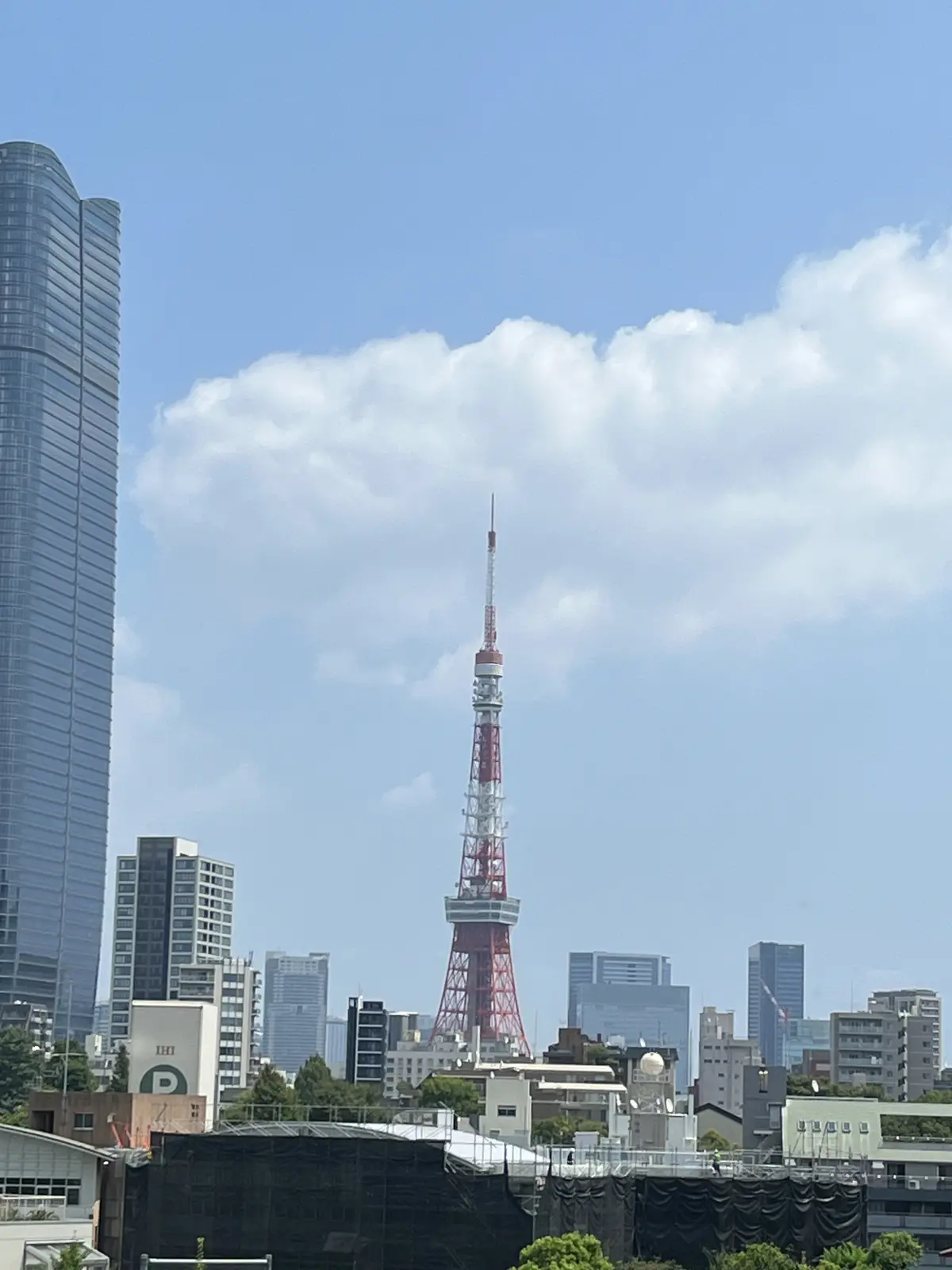 アフリカローズに囲まれての画像_5