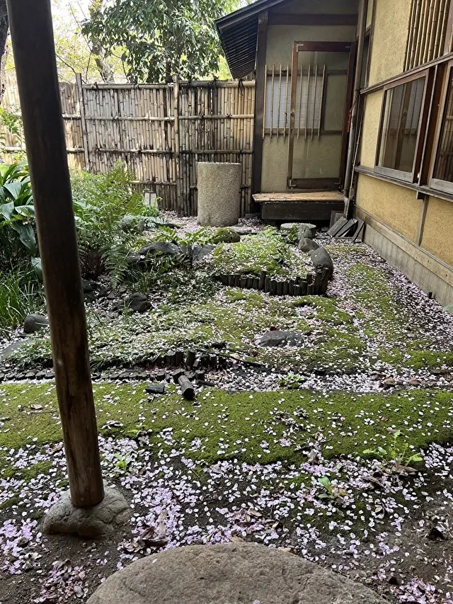 お部屋から見えるお庭