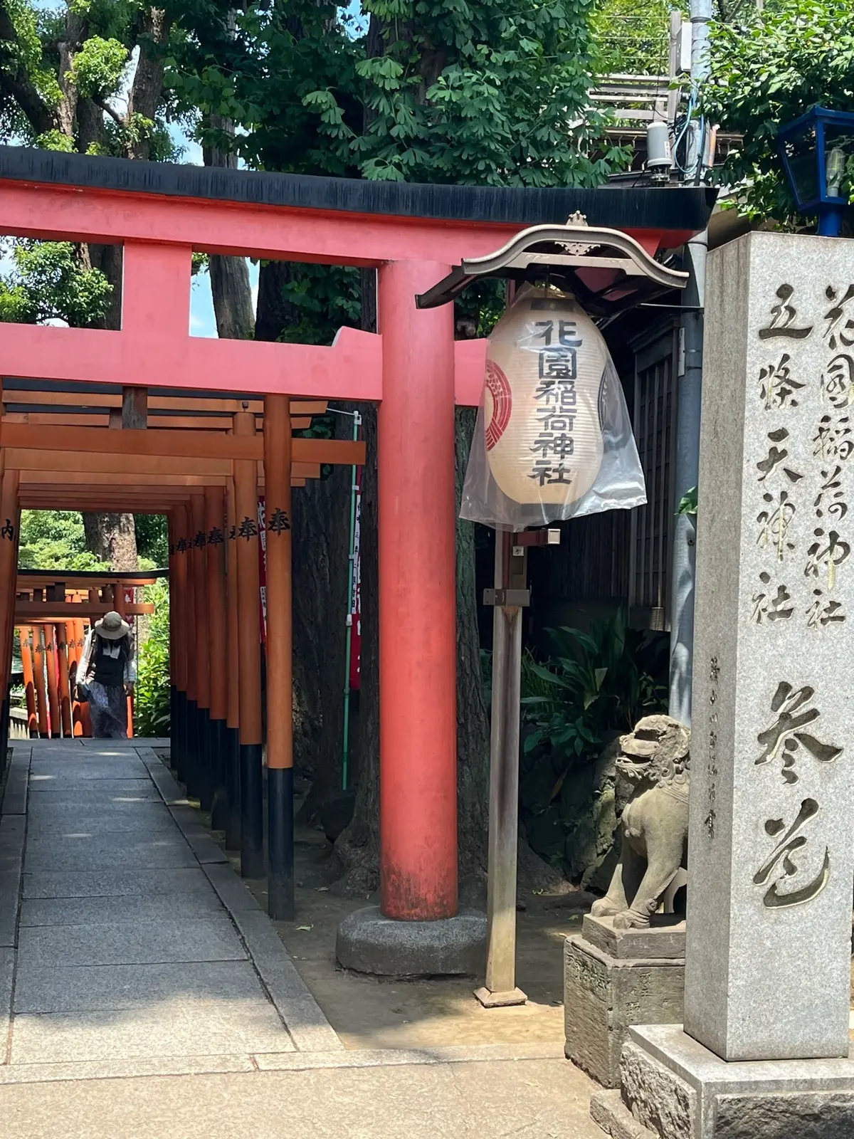 【神活】効果絶大！上野でたった30分しかの画像_10