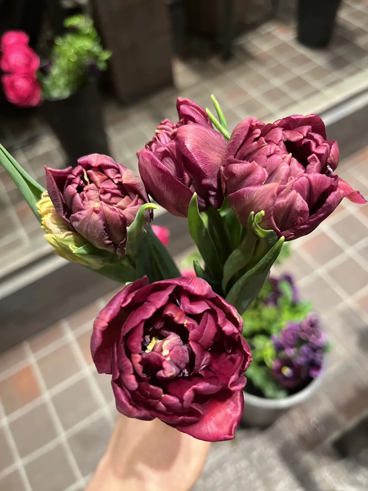 ピクニック気分でアフタヌーンティーの画像_5