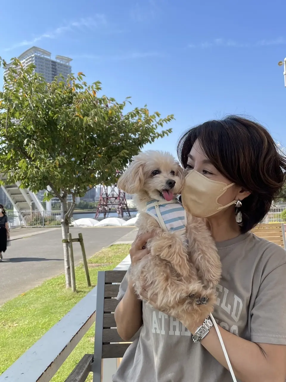 ビビッと一目惚れスニーカーの画像_2