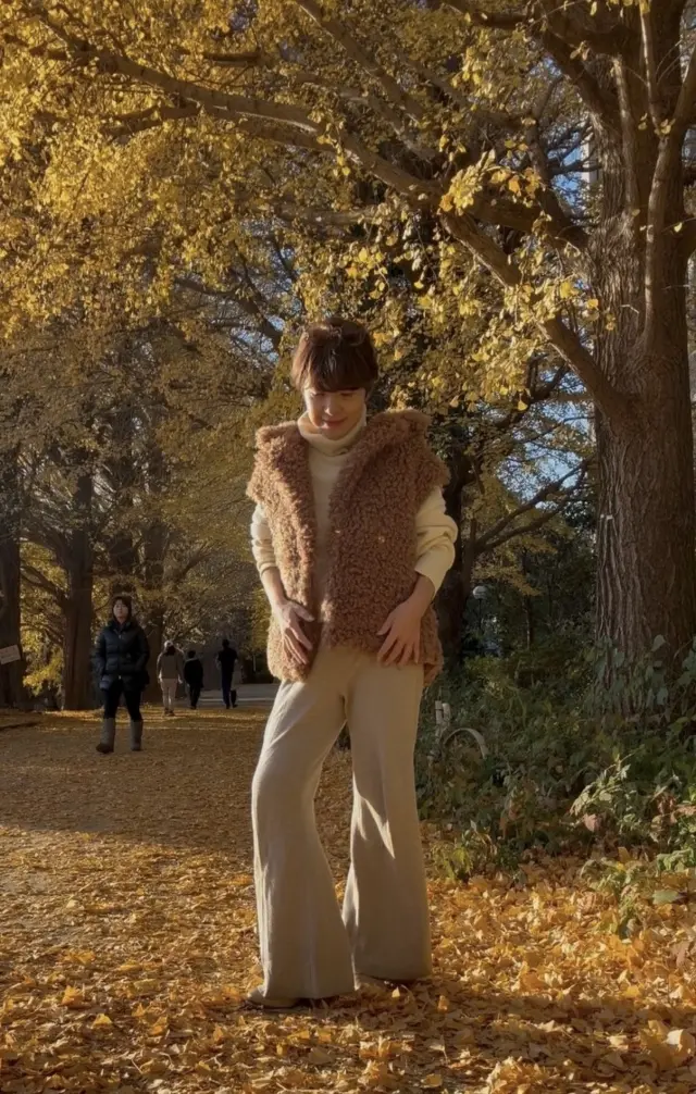 駒場公園の文壇カフェとイチョウ舞い散る銀の画像_3