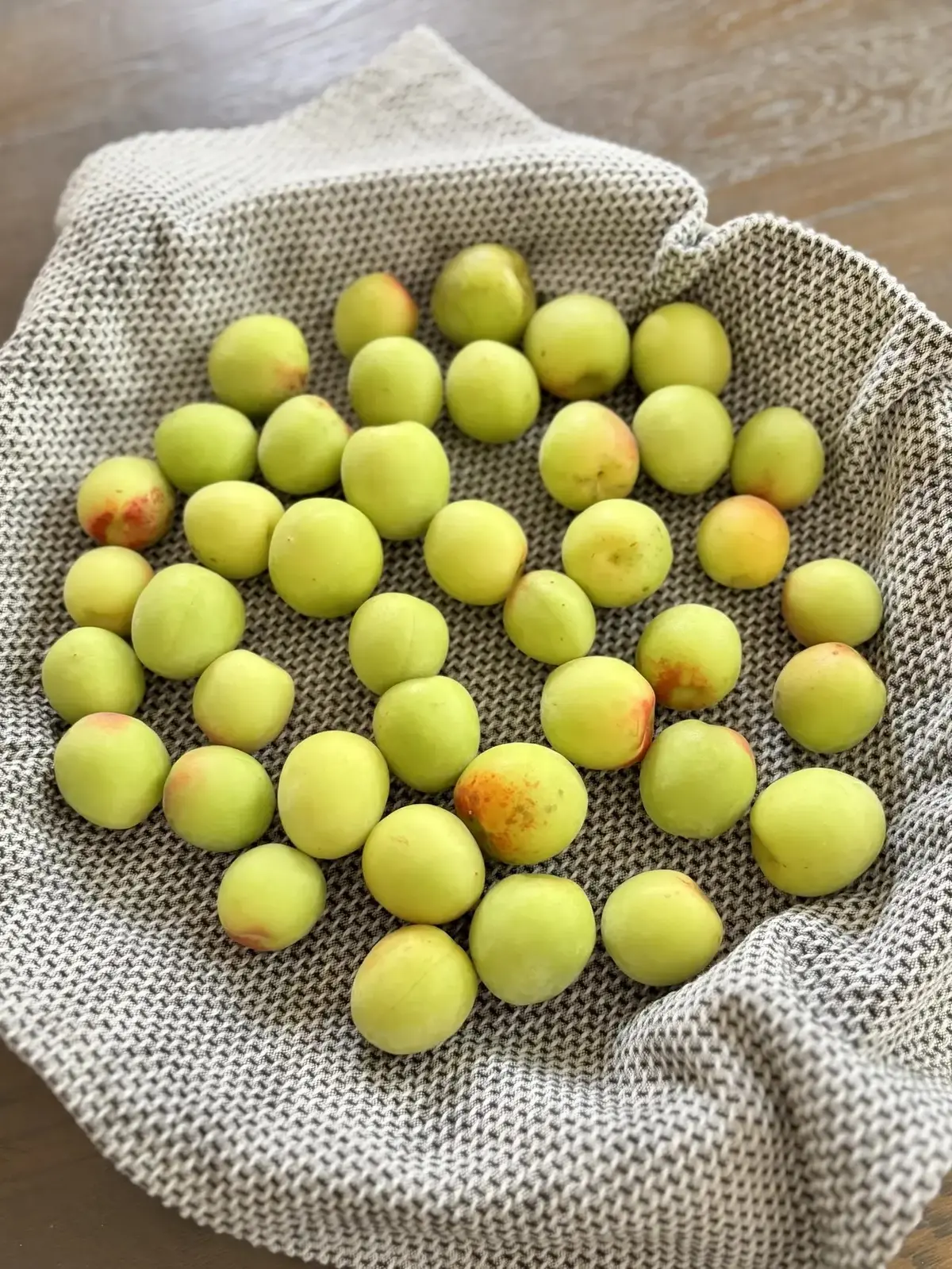 2026 夏しごと　梅シロップ編