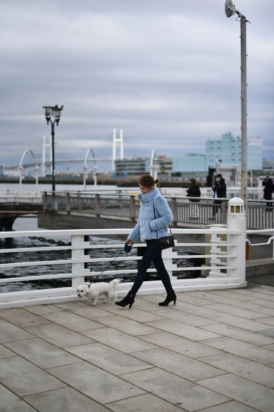 新春はエコファーダウンで横浜山下公園への画像_2