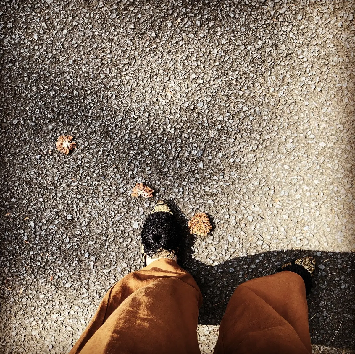 イエロー&ブラウン 〜車で伊豆へ スティの画像_3