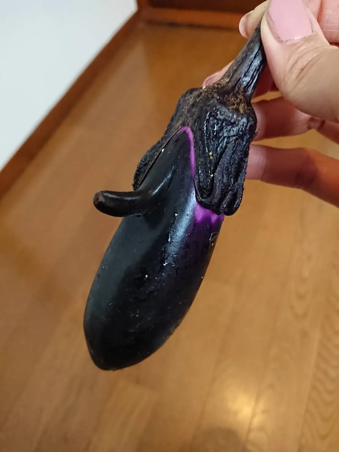 夏に獲れた今年一番の傑作！茄子に顔が？思わずクスッとしてしまいます