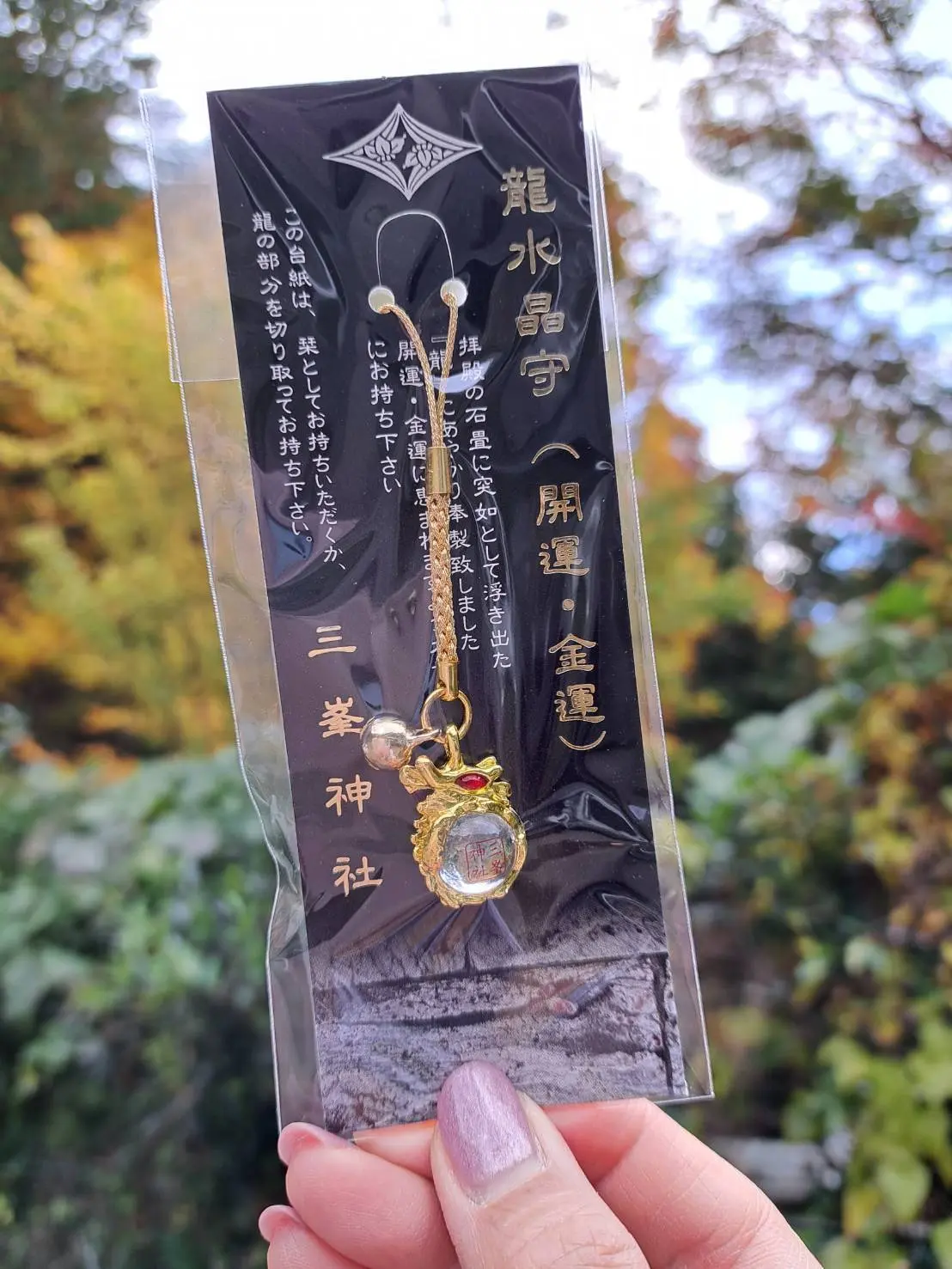 関東最強のパワースポットへ！の画像_9