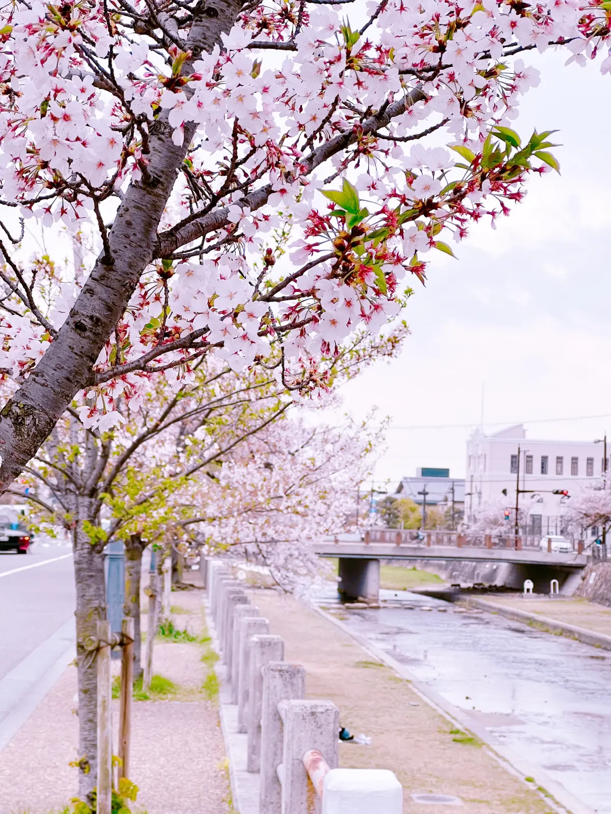 お気に入りShopのイベントへ♪の画像_1