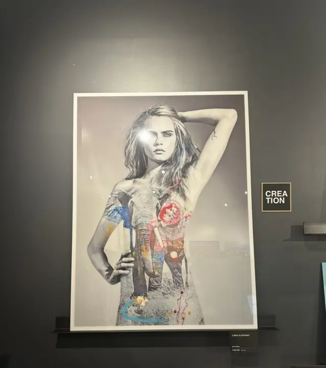 大好きなアートフォト作品に囲まれて、至福の画像_3