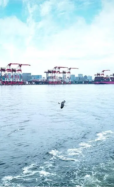 東京湾サンセットクルージング