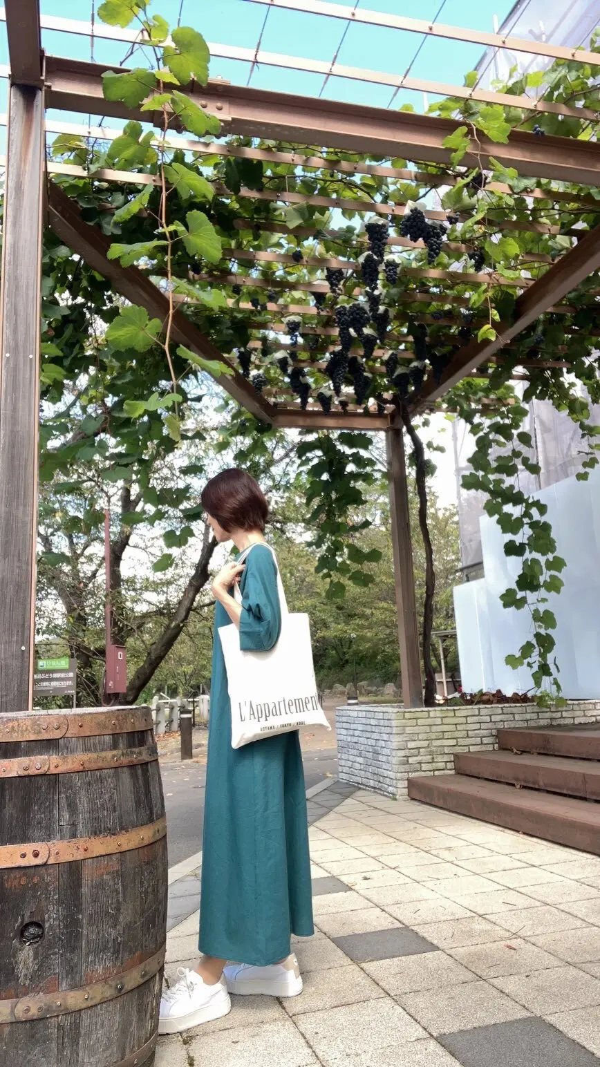 勝沼ぶどう郷　勝沼ワイナリー　ワインテイスティング　山梨　日帰り旅行　 ワンデートリップ　ソロ活　おひとりさま　エクラ　jマダム ぶどうの丘　ワインカーヴ　タートヴァン