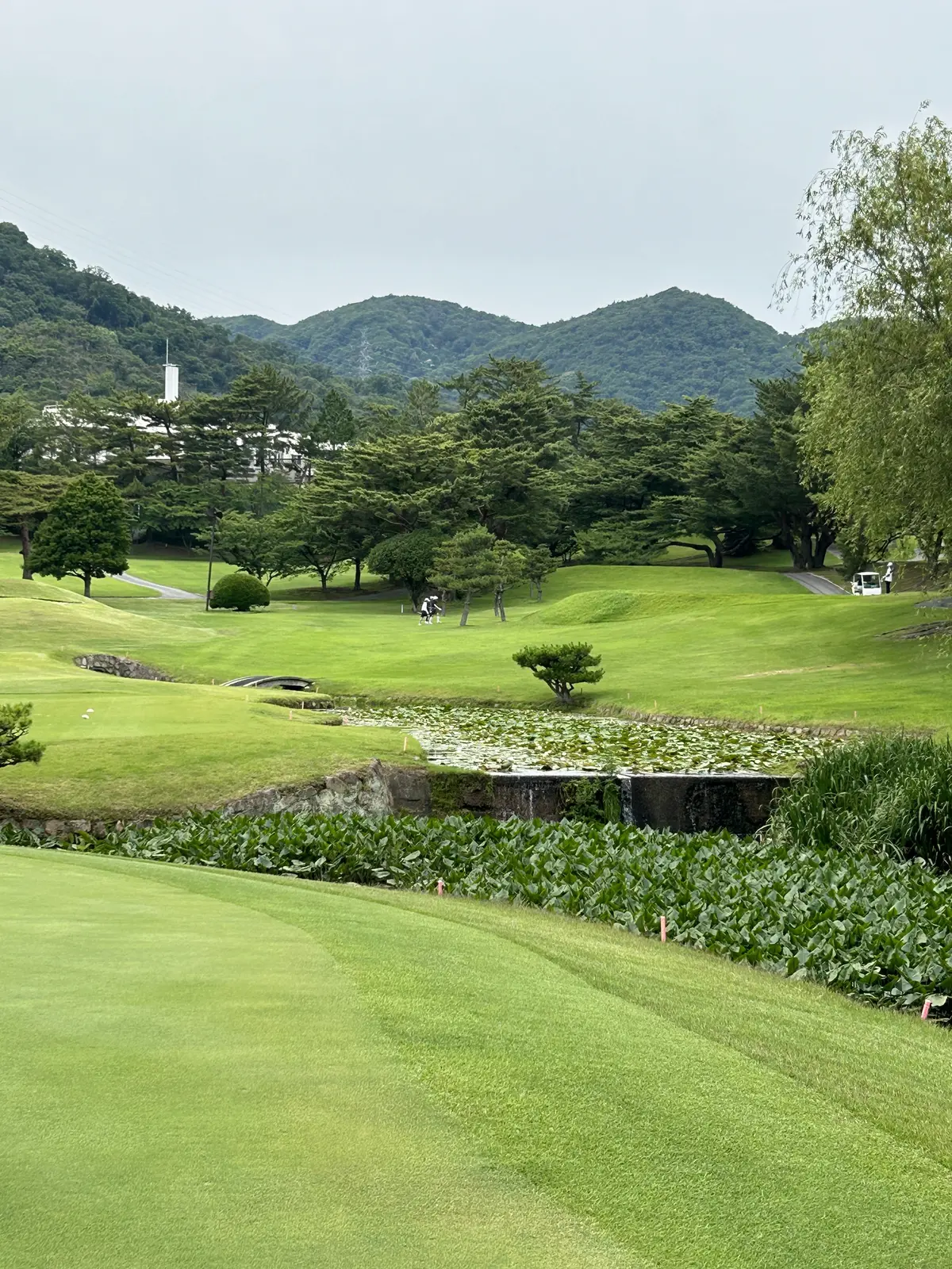 神戸の休日　100周年を迎えるベーカリーの画像_11