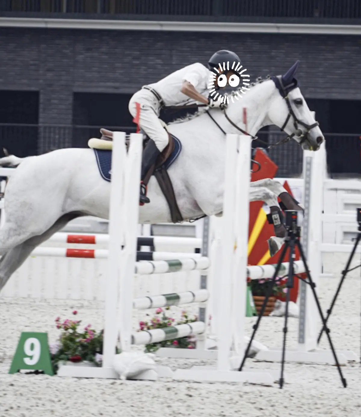 【感動の馬事公苑🐴✨】悪友の応援に参上🥸の画像_7