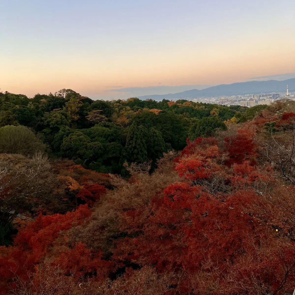 秋の景色を楽しむ♡京都の紅葉②の画像_8