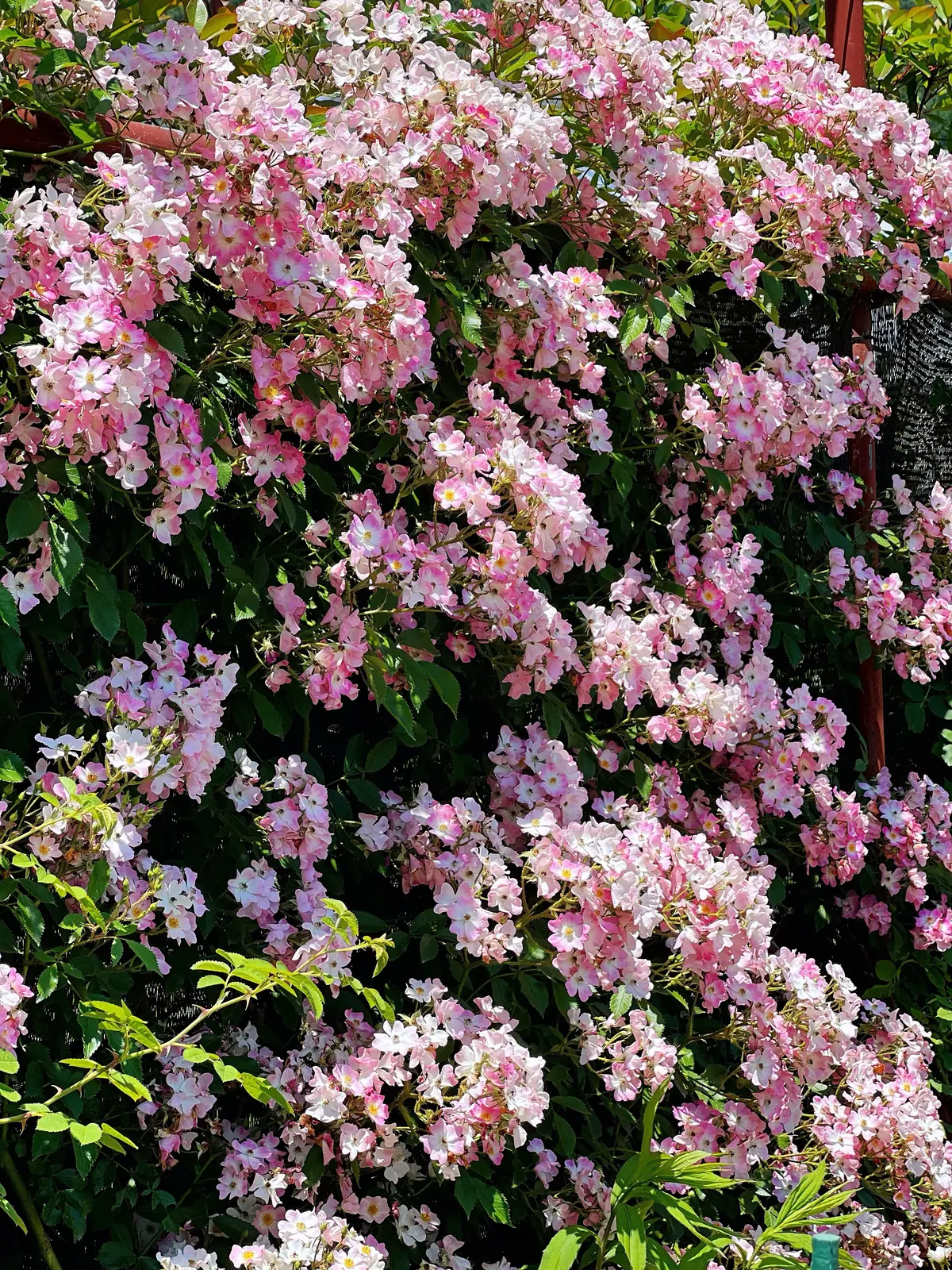 週末旅行観光スポット①の画像_5