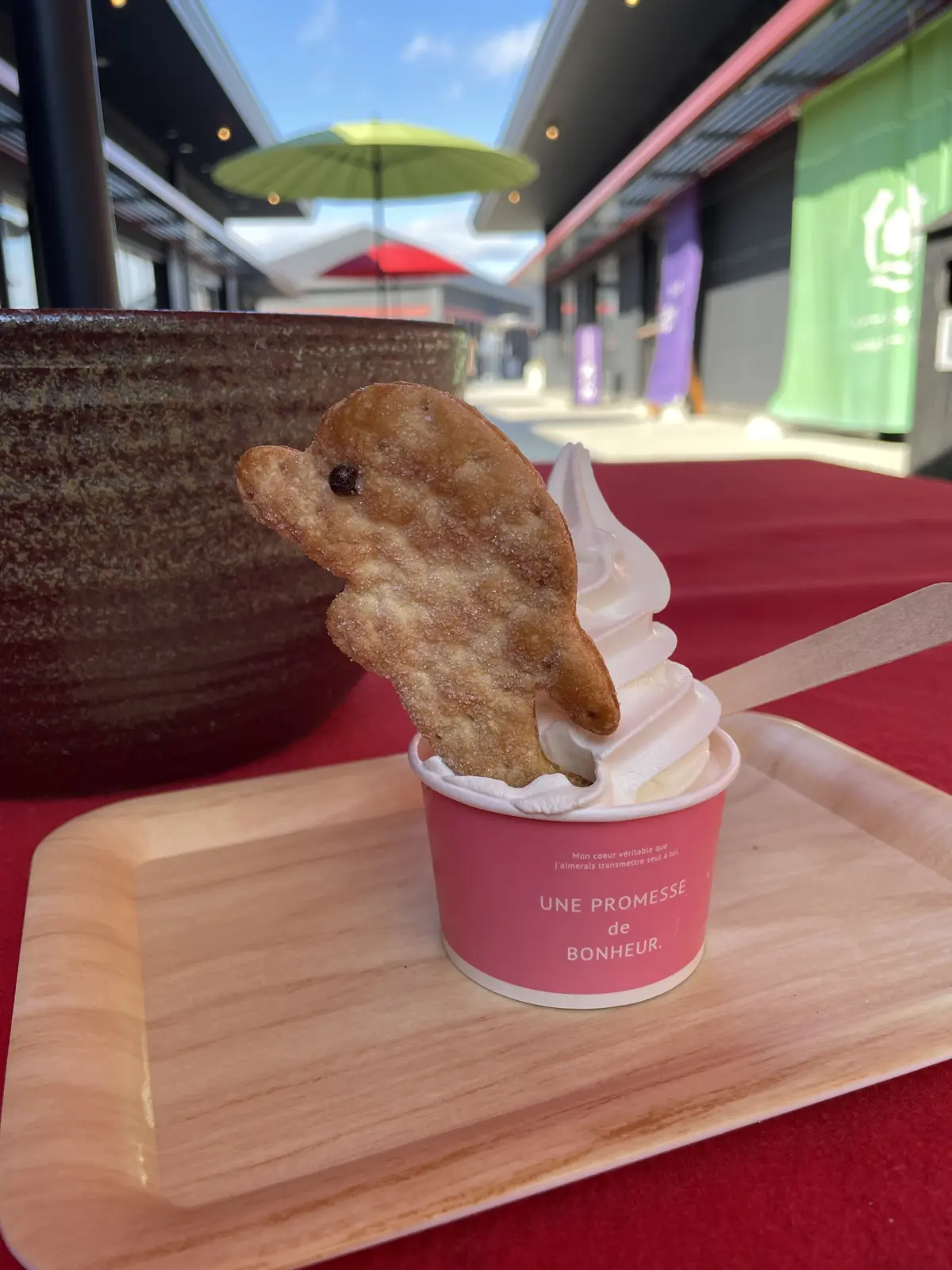 熊本県・上天草市（姫戸）へルーツの旅の画像_15