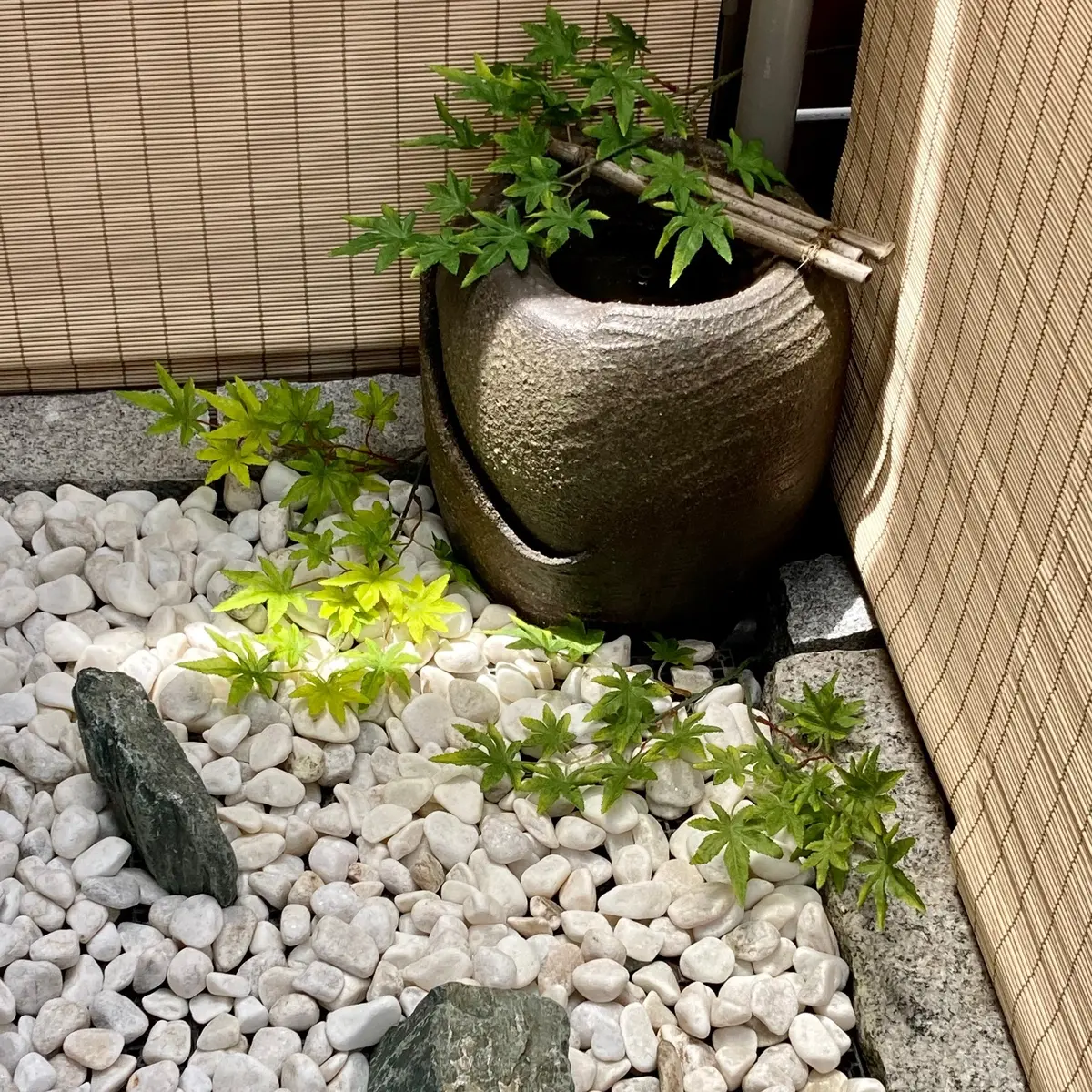 玉砂利を敷いた水琴窟とグリーンのある坪庭