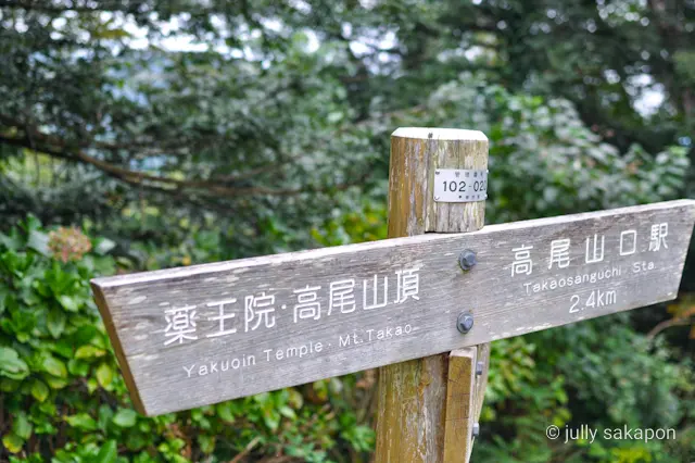 【さかぽんの冒険】苔むす秋の山と温泉プチの画像_11