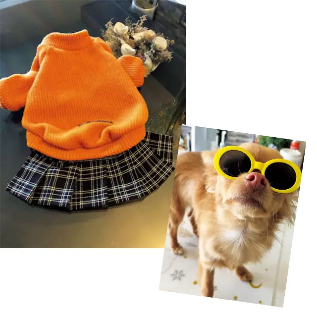 愛犬の服選びや お出かけに夢中！