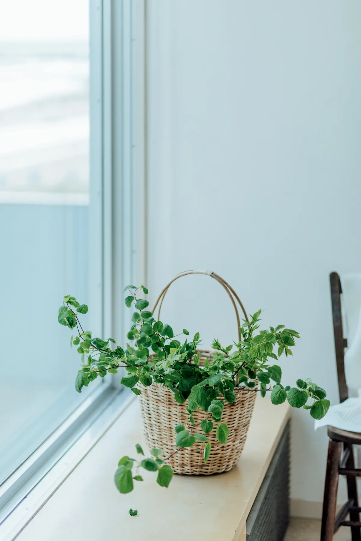 日常の器を生かした、素敵な花あしらいの作の画像_5