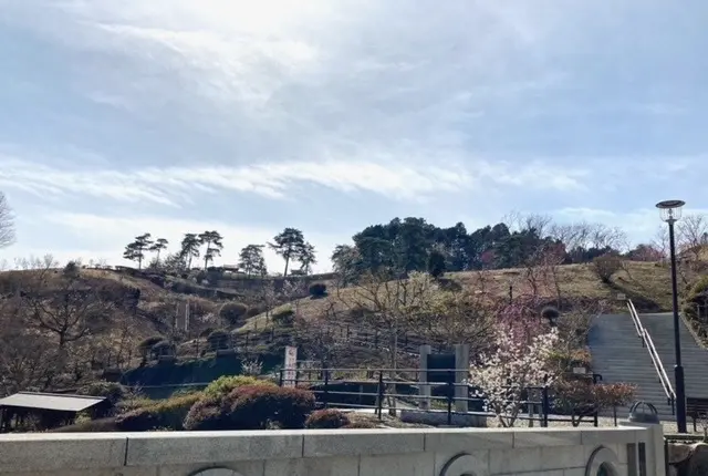 梅の公園