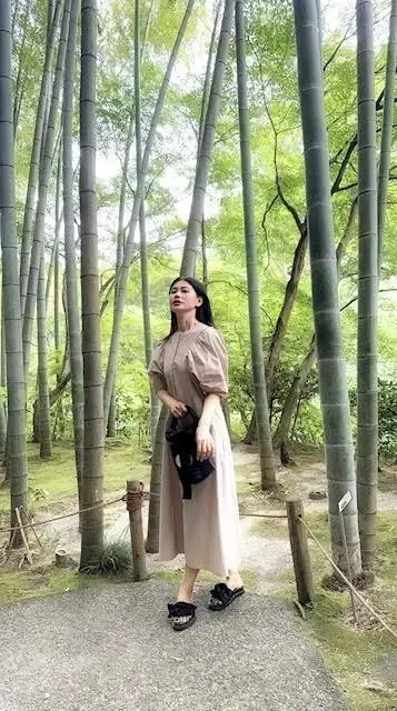 明月院ブルーに包まれて。紫陽花が語る鎌倉の初夏