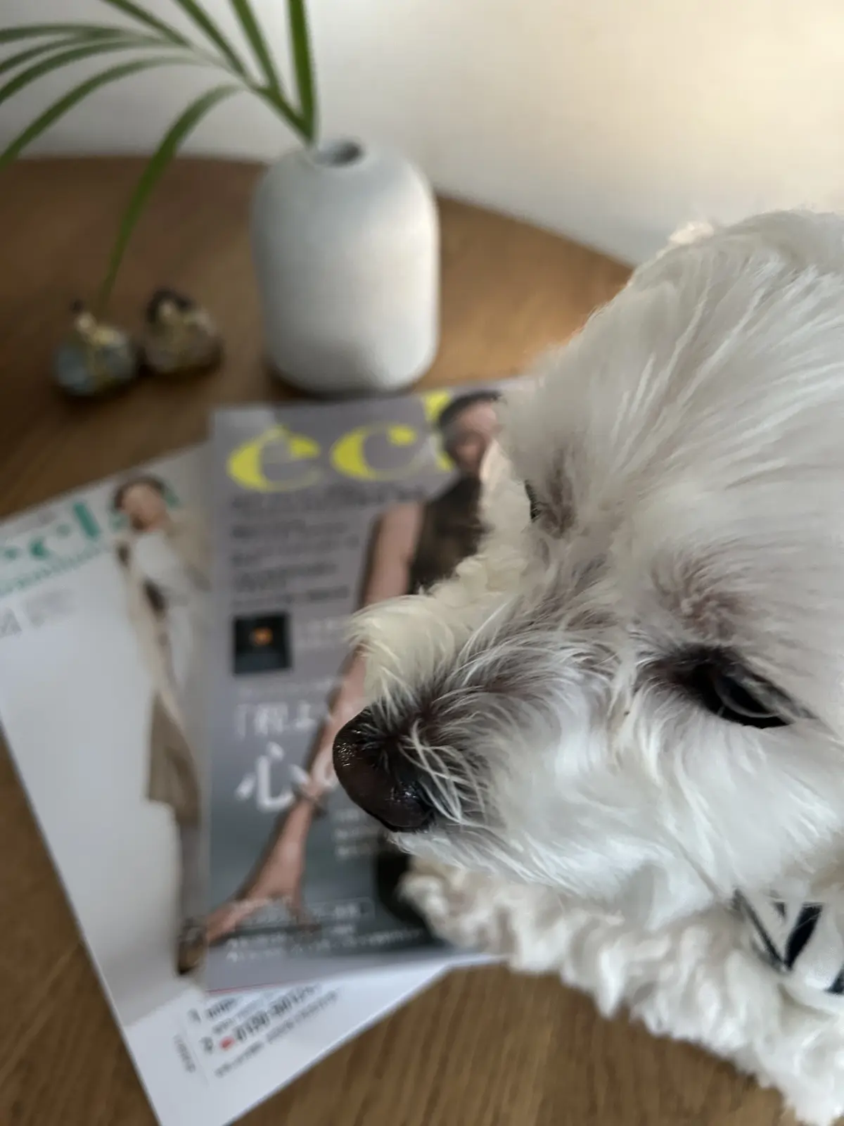 愛車で箱根ドライブへ！の画像_9