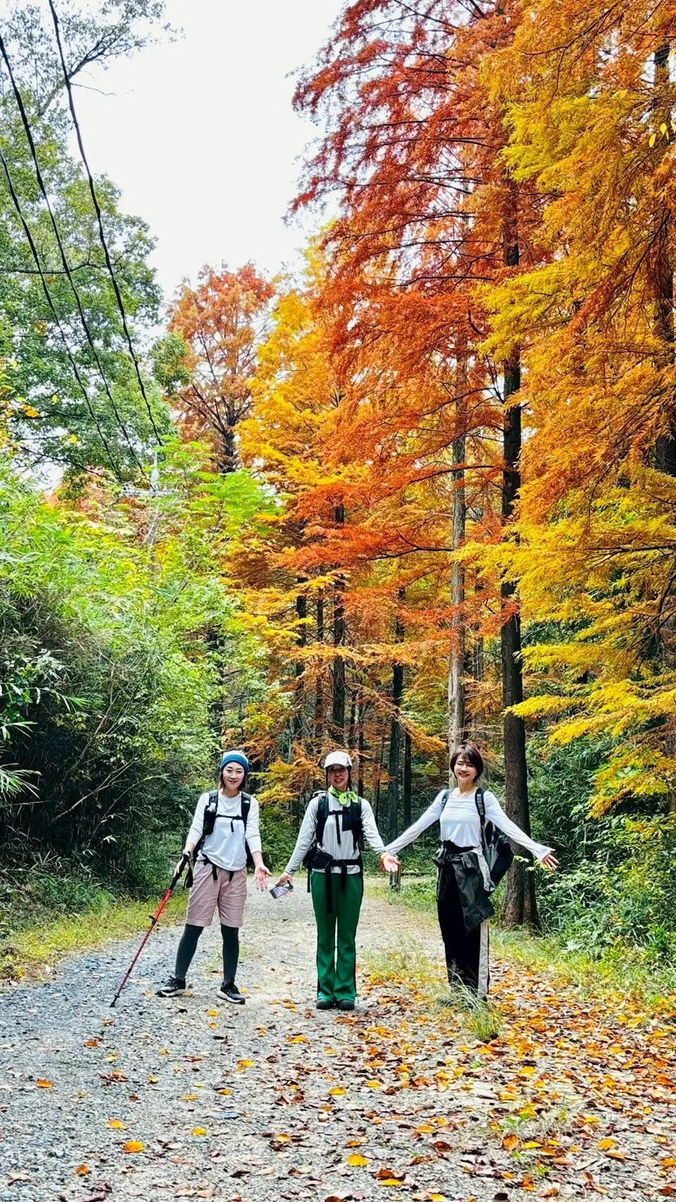 チームJマダム NON