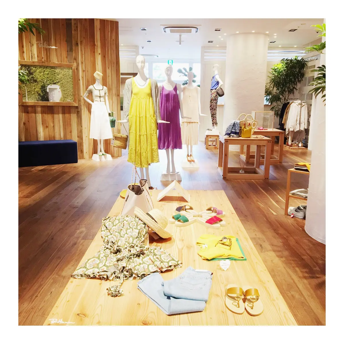 大人のロゴ Tシャツの画像_5