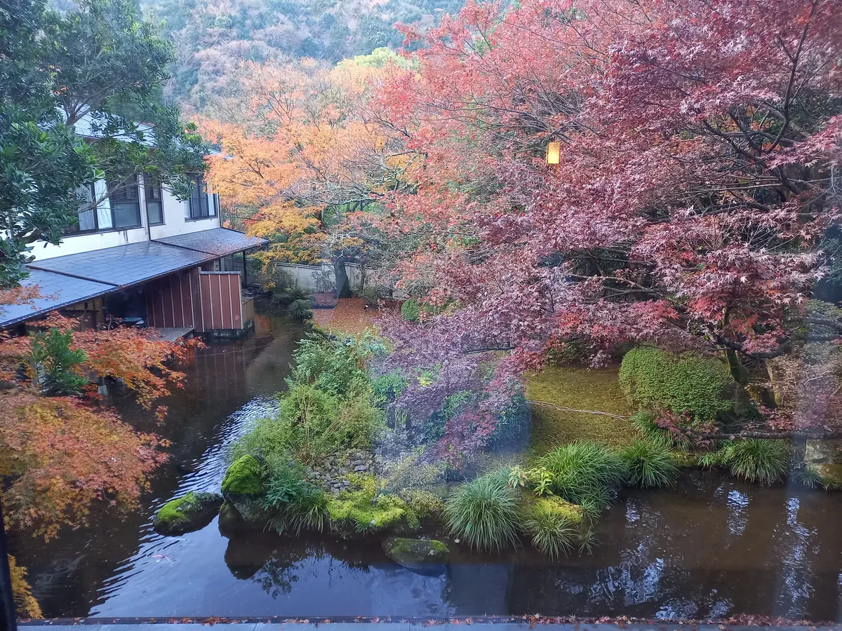 奥湯河原に佇む「泊まれる料亭」で最高の眺の画像_16