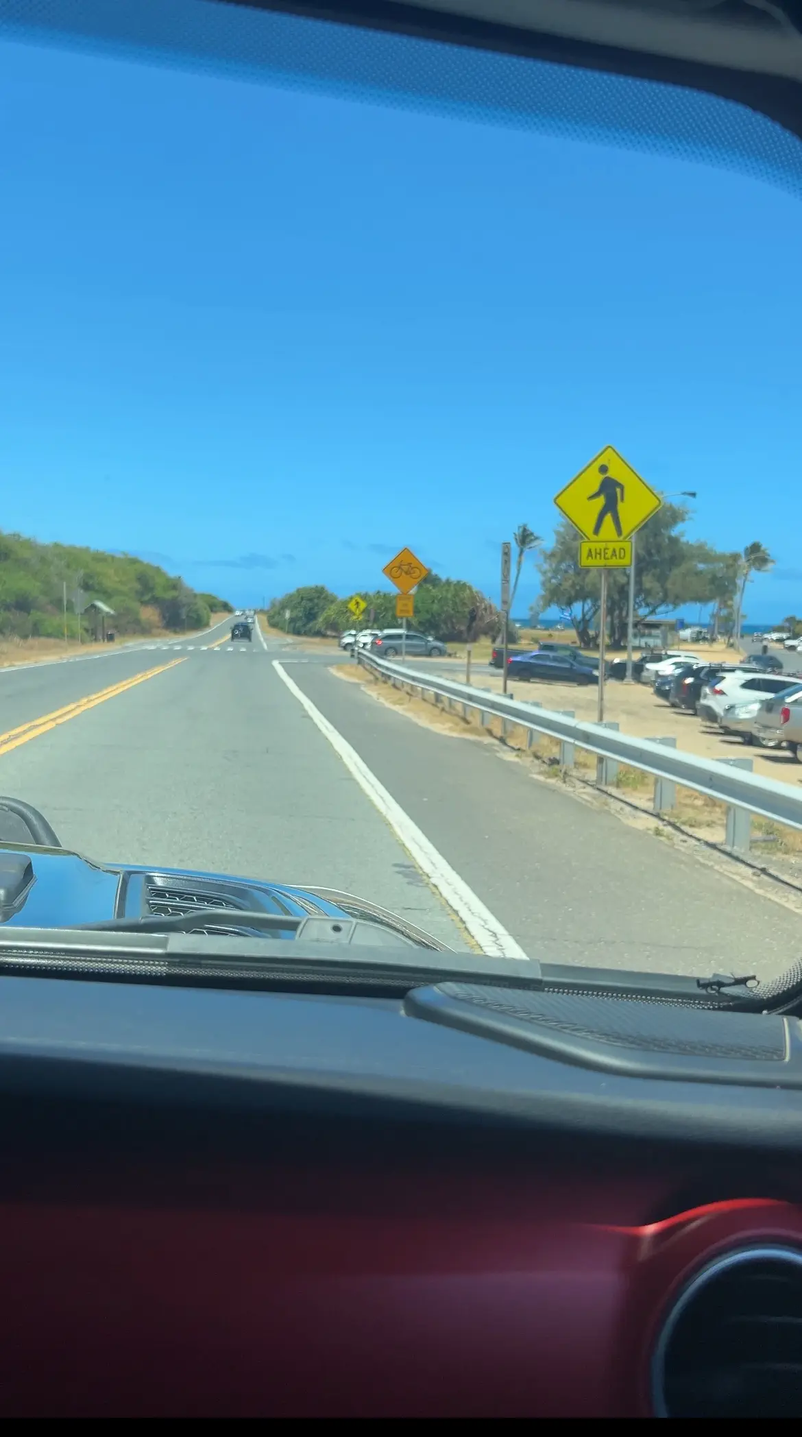 サマーバケーション in Hawaii の画像_9