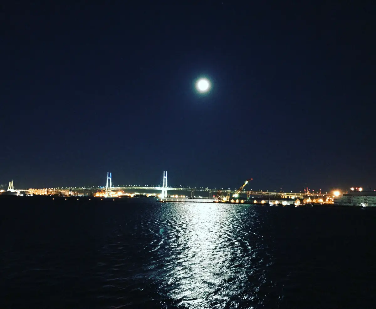 色の力を借りて横浜への画像_3