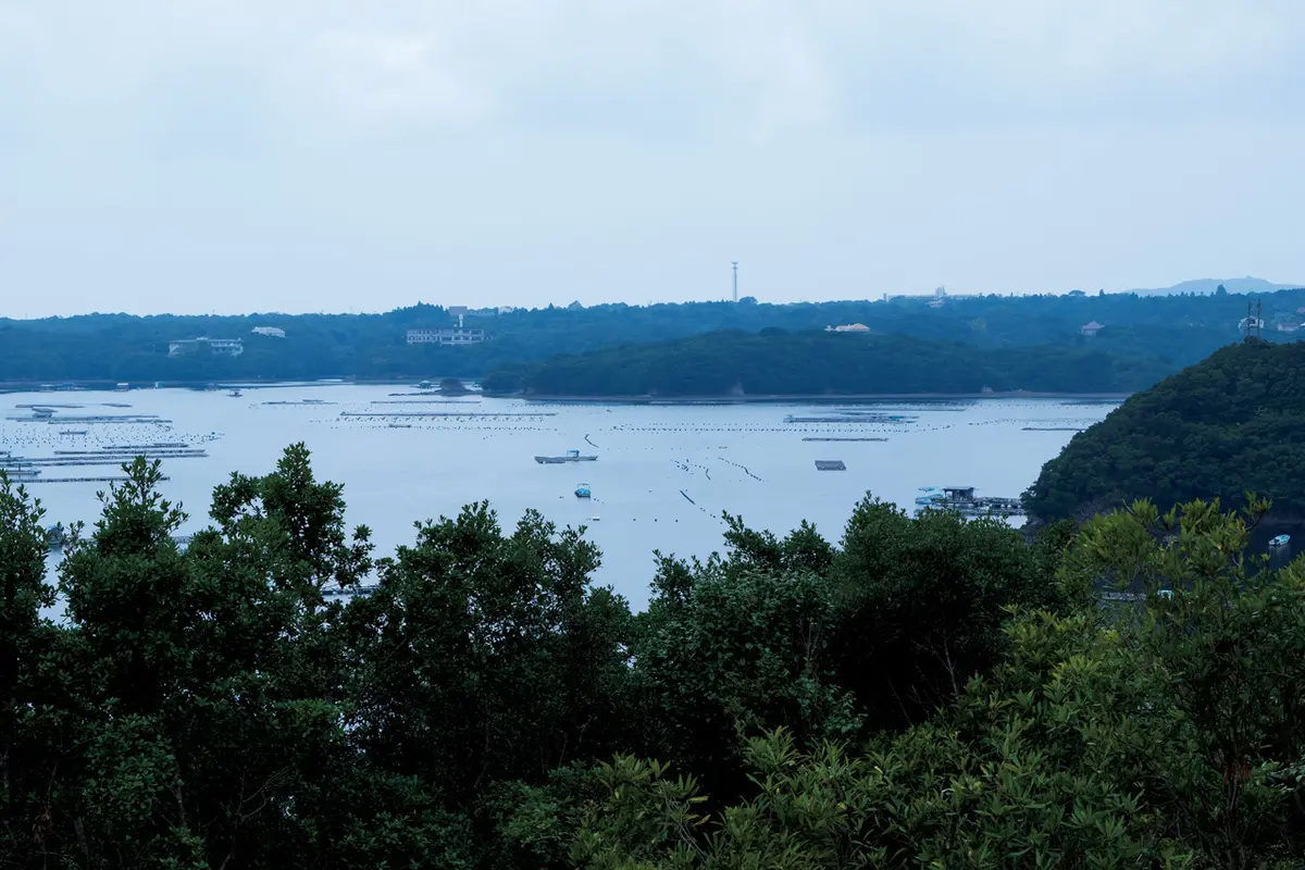 この肉を食べるために旅する！　美味肉に巡の画像_15