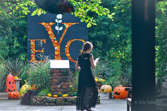 【さかぽんの冒険】ハロウィンの横浜イングの画像_10