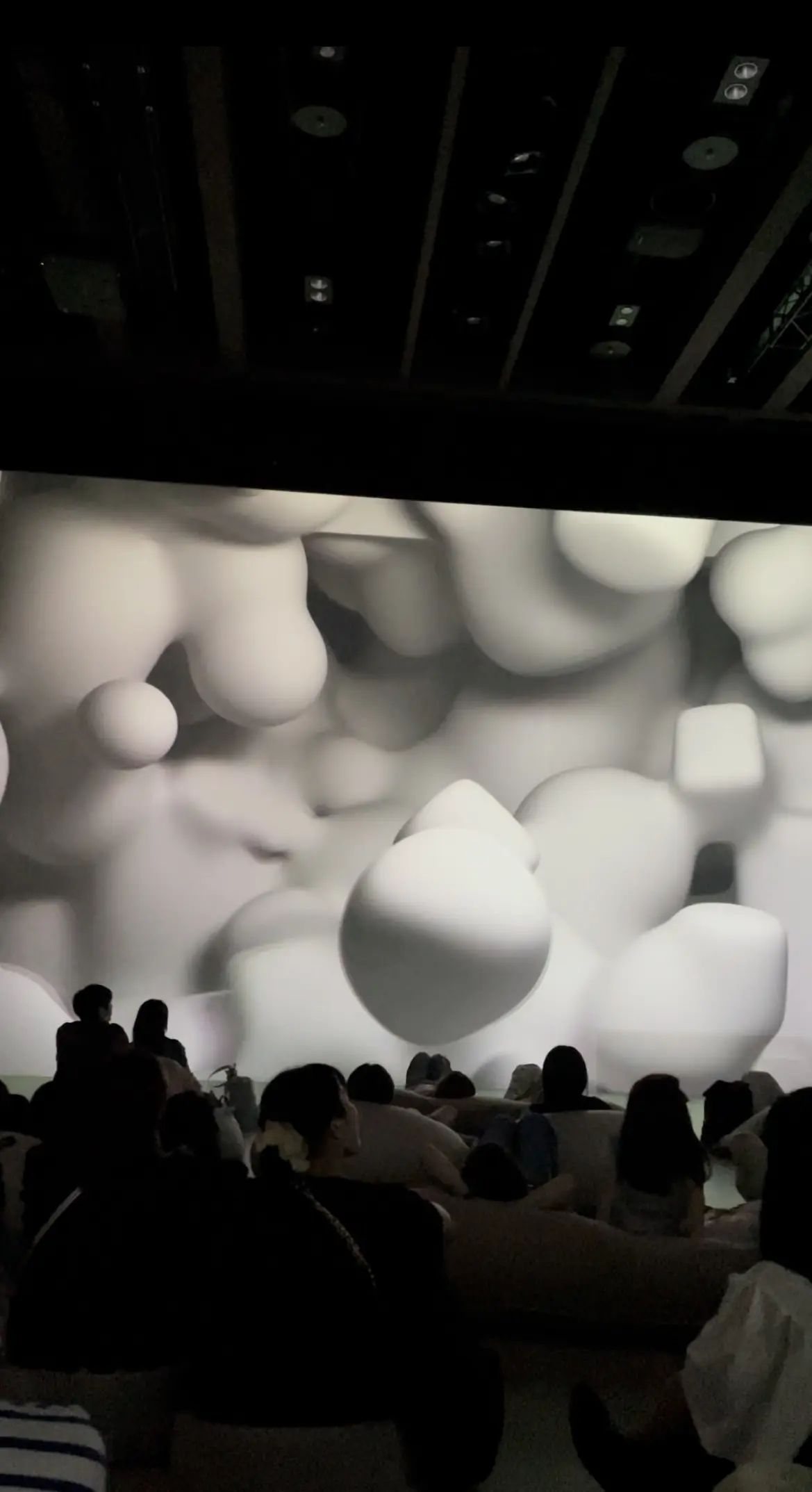 Immersive Museum TOKYO 2023、イマーシブミュージアムTOKYO 2023、ミュージアム内、映像